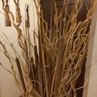 دکوری شاخه چوب خشک