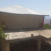 فروش زمین ۳۲۰ متری مسکونی در روستای نیاول|فروش زمین و ملک کلنگی|دیلمان, |دیوار