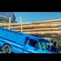 انوا تیر چوب عمده در تمامی مناطق خریدارم