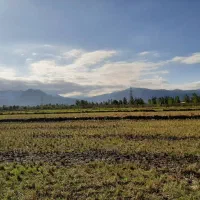 زمین-مزروعی-45هزارمترتسطیح-نشده-باتمام-امتیازات