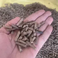 کارگر ساده مرد