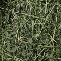یونجه مخصوص خرگوش و خوکچه