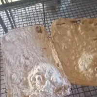 نان لواش محلی مجن|خوردنی و آشامیدنی|بسطام, |دیوار