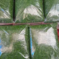 محصولات خانگی سبزی پیاز|خوردنی و آشامیدنی|کوچصفهان, |دیوار