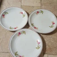 سه عدد بشقاب چینی قدیمی و ۵عدد فنجان ارکوپال وغیره|ظروف سرو و پذیرایی|تهران, زنجان جنوبی|دیوار