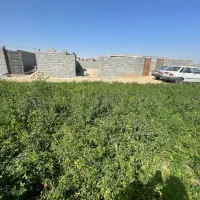 زمین با انشعابات سند تک برگ|فروش دفتر صنعتی، کشاورزی، تجاری|رباط‌کریم, حصار مهتر|دیوار