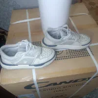 سه عدد تکونی 44و43|کیف، کفش، کمربند|پاکدشت, پاکدشت (مامازند)|دیوار