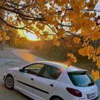 گلگیر wrc رنگ آرسی نقاشی rc صافکاری pdr سرامیک|قطعات یدکی و لوازم جانبی|مشهد, امامیه (شهرک غرب)|دیوار