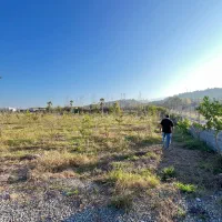 زمین-پلاک-جنگل-مصالح-بیار-شروع-به-ساخت-کن