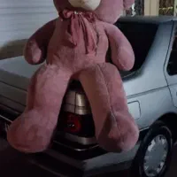 خرس شاسخین نو