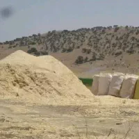 کاه نخود نرم و ریز