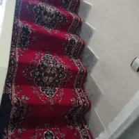 فرش کنار و پله تمیز بدونه سوختگی یا پارگی|فرش|الوند, |دیوار