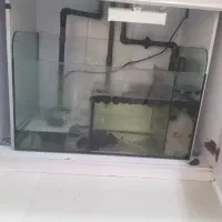 معاوضه آکواریوم آب شور با تانک کوچکتر|ماهی|بندرعباس, |دیوار