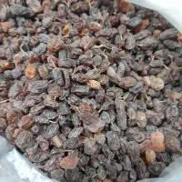 ۲ کیلو کشمش بیدانه آفتابی محصول امسال