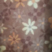 موکت