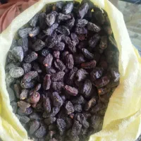 خرید ضایعات خرما.لر پون بالاترین قیمت|خدمات پیشه و مهارت|سراوان, |دیوار