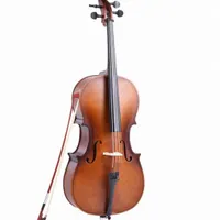 ویولنسل CELLO EASTMAN