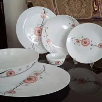 ظروف آرکوپال آکبند