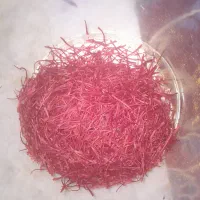 زعفرون تربت حیدریه