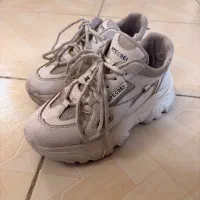 کفش|کیف، کفش، کمربند|گرگان, |دیوار