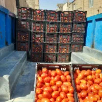 گوجه ربی کرمانشاه|خوردنی و آشامیدنی|قم, قلعه کامکار|دیوار