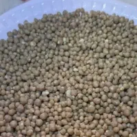 کودی شیمیایی دی آمینیوم فسفات رازی و کود چینی|عمدهفروشی|قیدار, |دیوار