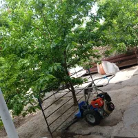 علف باغ شمارا میچینم