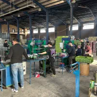 استخدام کارگر چاپ و قوطی سازی شهرک صنعتی قرچک‌