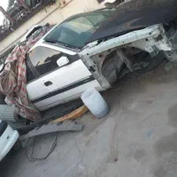 زانتیا تصادفی