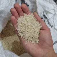 برنج دونوج ارگانیک بدون هیچ نوع سم و آفت کش|خوردنی و آشامیدنی|مشهد, سید رضی|دیوار