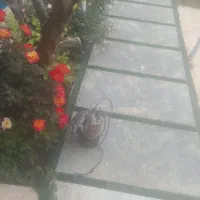 پمپ کف کش|ابزارآلات|کرج, کوی کارمندان شمالی|دیوار