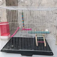 قفس با لوازم کامل