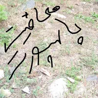 کمک پاسپورت