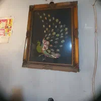 دو عدد تابلو طاووس، بوته گل