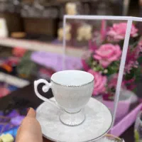 ست بشقاب آرکوپال و فنجان نعلبکی
