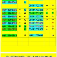 09111700891