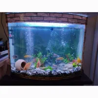 آکواریوم بزرگ شیشه خم|ماهی|اندیشه, اندیشه فاز ۱|دیوار