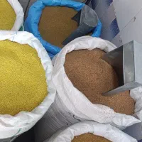 بذر|خدمات باغبانی و درختکاری|مرند, |دیوار