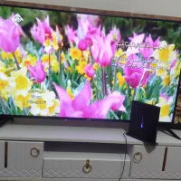 تلویزیون ال ای دی مدل سام 50اینچ|تلویزیون و پروژکتور|قزوین, |دیوار