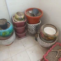 تعدادی گلدان سفالی وپلاستیکی قیمت توافقی|گل و گیاه طبیعی|یزد, |دیوار
