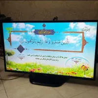 ال ای دی 43الجی در حد نو