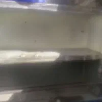 کابینت ابچکان|آبچکان و نظمدهنده ظروف|قرچک, داوود آباد|دیوار