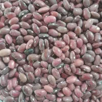 تازه امسال|خوردنی و آشامیدنی|سیلاخور, |دیوار