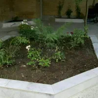 مشارکت-250متری