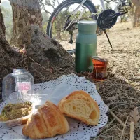 حلوا وشیرینی های مخصوص Tinysky|خدمات پذیرایی، مراسم|مریوان, |دیوار