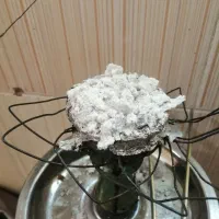 عمده زغال کیفیت بالا|عمدهفروشی|بوشهر, |دیوار