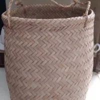 سبد
