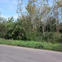 زمین روستایی 300 متری نبش آسفالت قابلیت ساخت|فروش زمین و ملک کلنگی|لنگرود, |دیوار