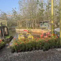 فرصتی ویژه و محدود برای خرید|فروش خانه و ویلا|تهران, صد دستگاه|دیوار