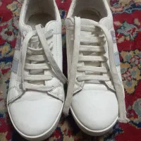 کفش اسپورت|کیف، کفش، کمربند|گرمسار, |دیوار